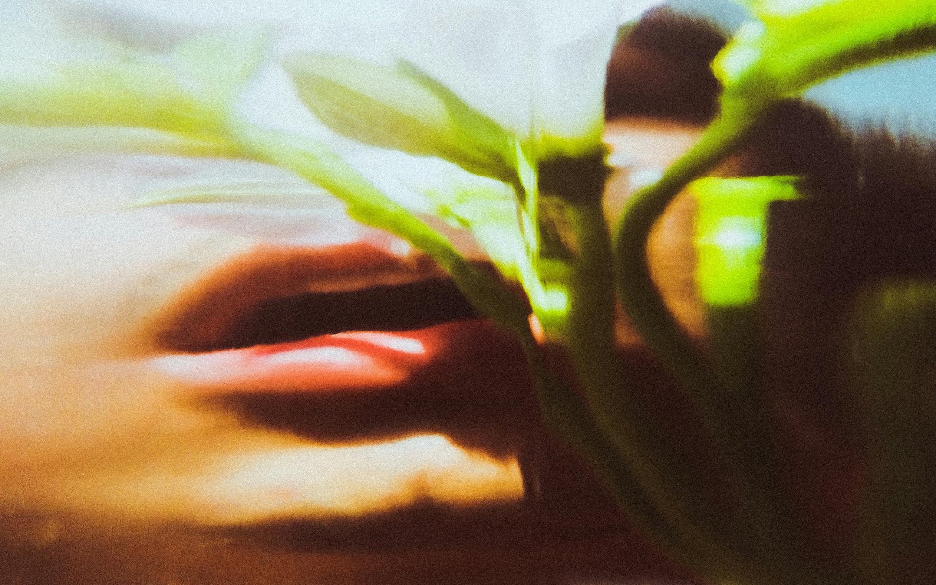 Abstract beauty detail